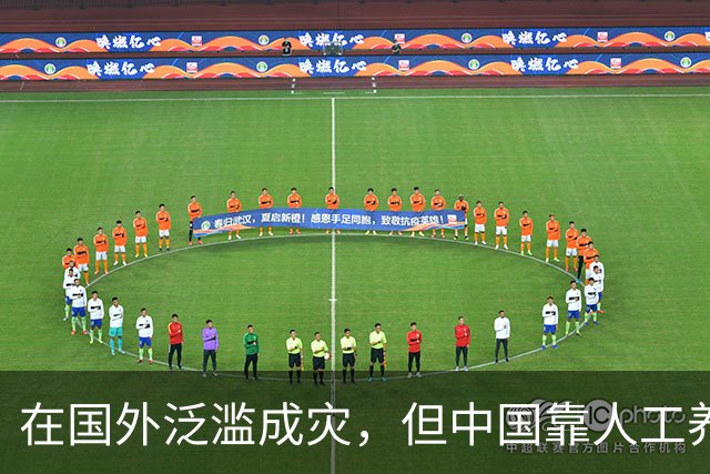 在国外泛滥成灾，但中国靠人工养殖，国外甚至每年花50亿元难消灭