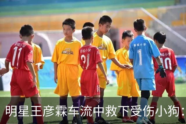 明星王彦霖车流中救下受伤小狗：医生说它生完就被扔了，王彦霖决定收养它，取名Lucky。