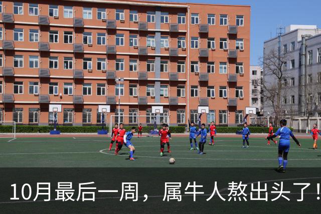10月最后一周，属牛人熬出头了！苦尽甘来，好运挡不住